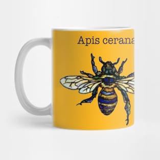 Eastern Honey Bee Mug